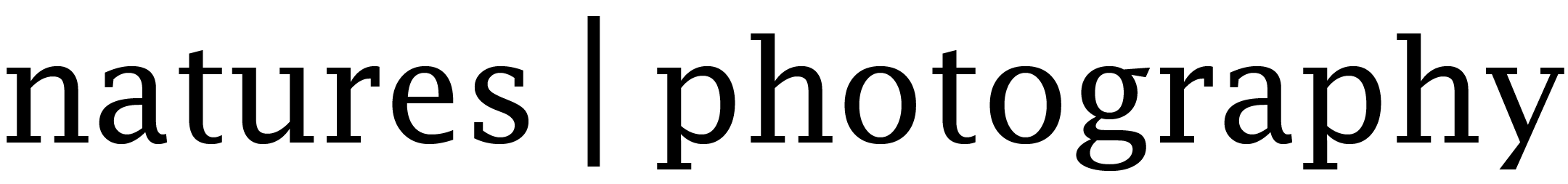 Natures Photography's Logo